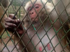 -藏龙百瀑风景区