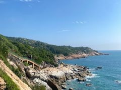 -广东惠东海龟国家级自然保护区