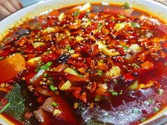 毛血旺-雲蜀龙阁·金牌水煮鱼(方庄店)