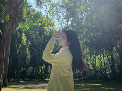 -金花茶公园
