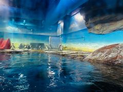 -海合安武汉极地海洋公园