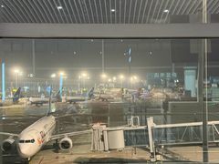 -青岛胶东国际机场