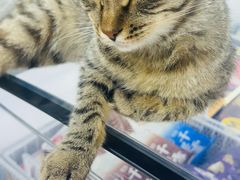 -金陵后厨·南京菜(新街口秣陵路店)