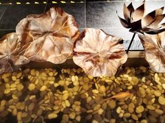 -全聚德烤鸭店(和平路店)