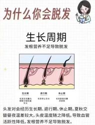 -Bollins波林丝•专研护发中心