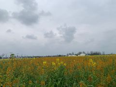 -中国天府农业博览园