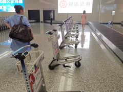 -石家庄正定国际机场-T2航站楼