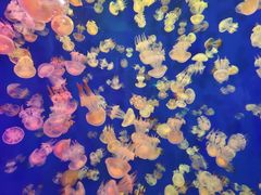 -成都浩海立方海洋公园