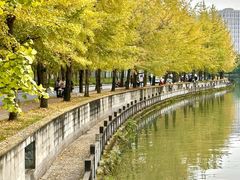 -成都市活水公园