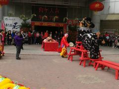-清平中药材专业市场