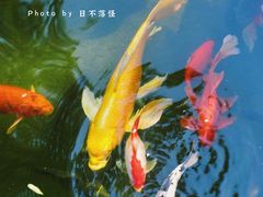 -三里河公园