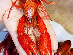 -霸王虾·小龙虾香辣蟹(玉林店)