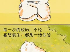 -安肯心理咨询(长宁旗舰店)