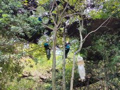 -泉州海丝野生动物世界