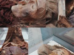 -巴音郭楞蒙古自治州博物馆
