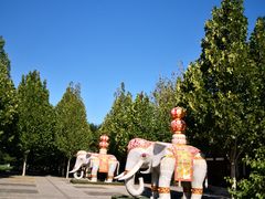 -永定河休闲森林公园