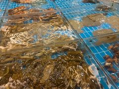 -新丁香海鲜酒店(银海商贸城店)