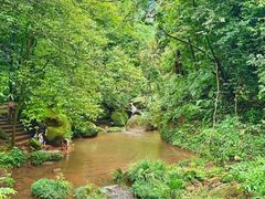 -赤水丹霞旅游区·佛光岩