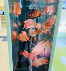 -杭州贝瑞斯美华妇儿医院·早孕·产检·儿科