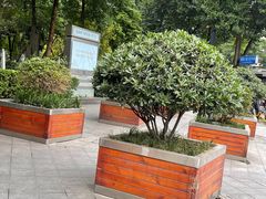 -团圆口腔·种植中心(锦江院区)