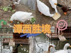 -运动派(北京店)