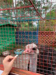 -萌宠亲子动物乐园(槐房万达店)