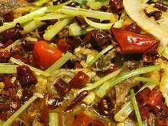 -老板恋上鱼(恒隆广场店)