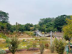 -东莞植物园