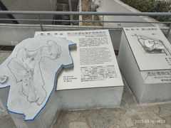 -北京周口店北京人遗址博物馆