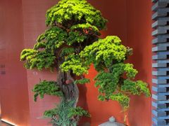 -阿伟海鲜楼·福建菜(延寿店)