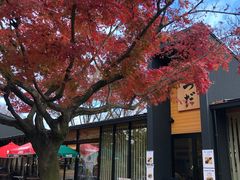 -名古屋城