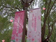 -元大都城垣遗址公园