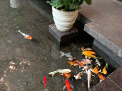 -天津海河悦榕庄·Lobby Lounge大堂吧