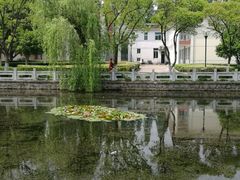 -花溪公园