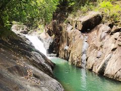 -广州白江湖森林公园