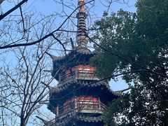 -上海佘山国家森林公园西佘山园