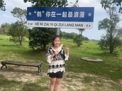 -盐城丹顶鹤湿地生态旅游区