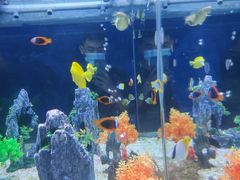 -烟台海昌鲸鲨海洋公园