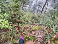 -青城山