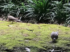 -苏州河梦清园环保主题公园