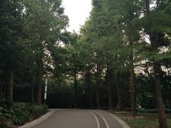 -苏州河梦清园环保主题公园