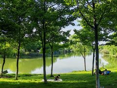 -瑶湖湿地自然保护区