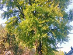 -锦屏山旅游度假区