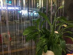 -印象江南(东栅店)