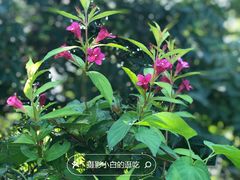 -国家植物园