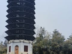 -中关村生命科学园