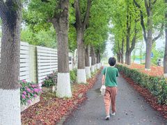 -嘉北郊野公园