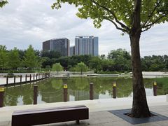 -大望京公园