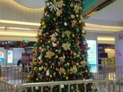 -皇冠幸福里动物奶油生日蛋糕(光谷软件园店)