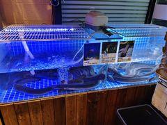-百年食客韩式烤肉(南三环店)